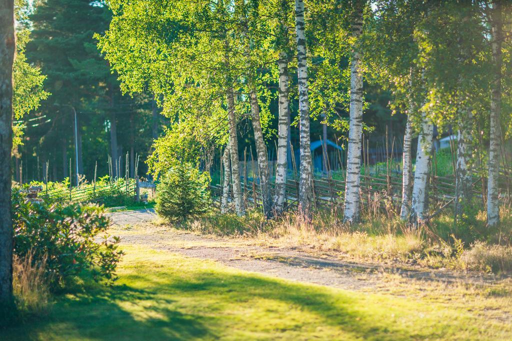Olsbacka Cottage Falun Exterior foto